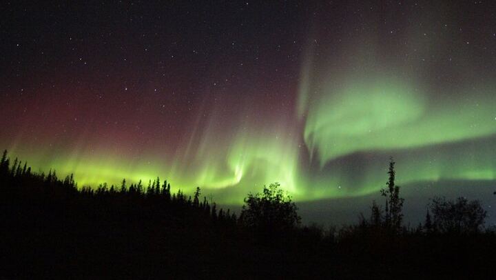 Yellowknife Aurora Hunting by Bus with Wilderness First Aid Guides (2/12)