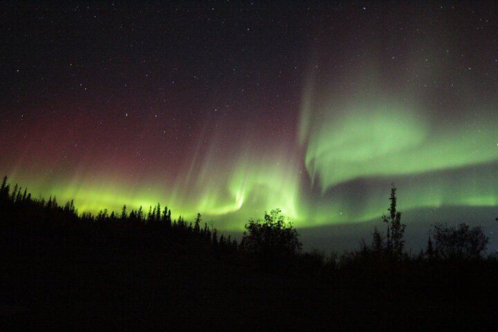 Yellowknife Aurora Hunting by Bus with Wilderness First Aid Guides (2/12)