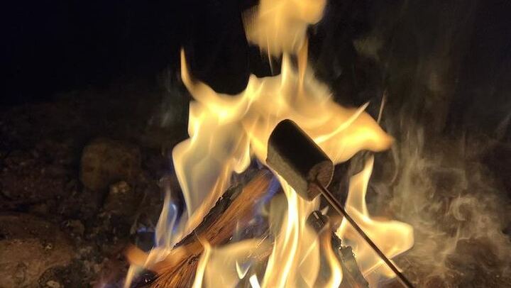 Aurora BBQ at a Private Kota near Rovaniemi, Three Hours (2/10)
