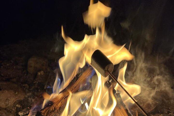 Aurora BBQ at a Private Kota near Rovaniemi, Three Hours (2/10)