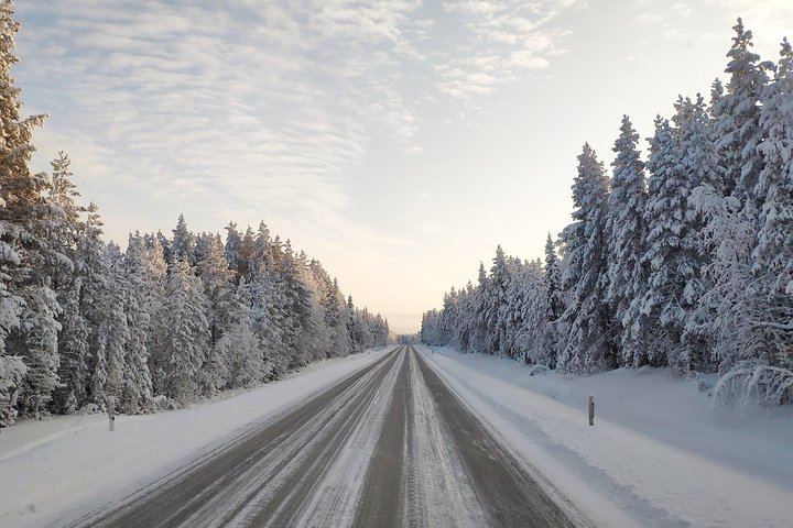Lapland Night: Finnish Sauna, Ice Swimming, Dinner and Northern Lights (6/12)