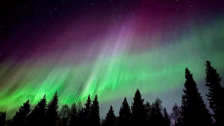 Aurora BBQ at a Private Kota near Rovaniemi, Three Hours