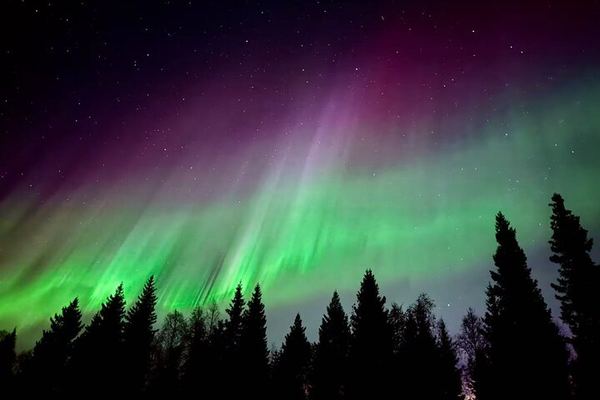 Aurora BBQ at a Private Kota near Rovaniemi, Three Hours