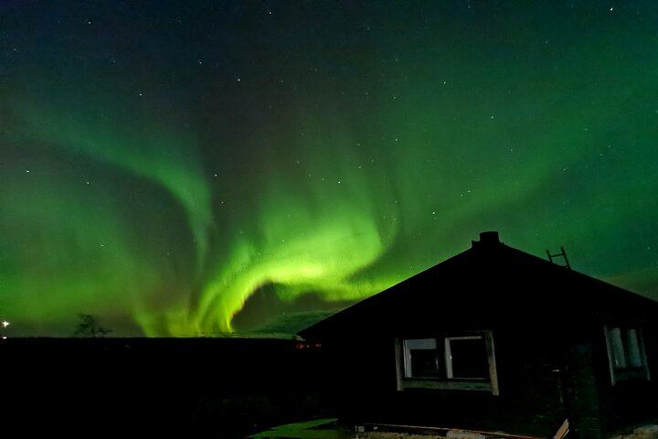 Aurora BBQ at a Private Kota near Rovaniemi, Three Hours (3/10)