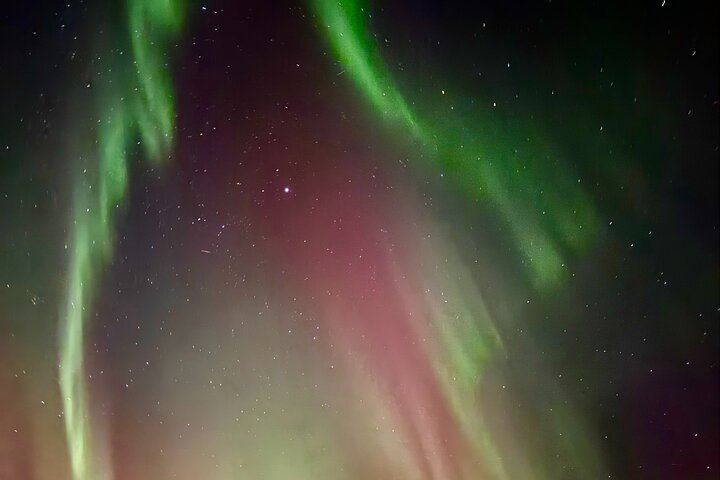 Aurora BBQ at a Private Kota near Rovaniemi, Three Hours (7/10)