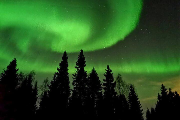 Aurora BBQ at a Private Kota near Rovaniemi, Three Hours (10/10)