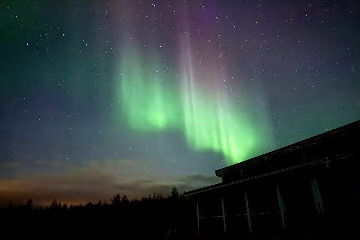 Aurora BBQ at a Private Kota near Rovaniemi, Three Hours (6/10)