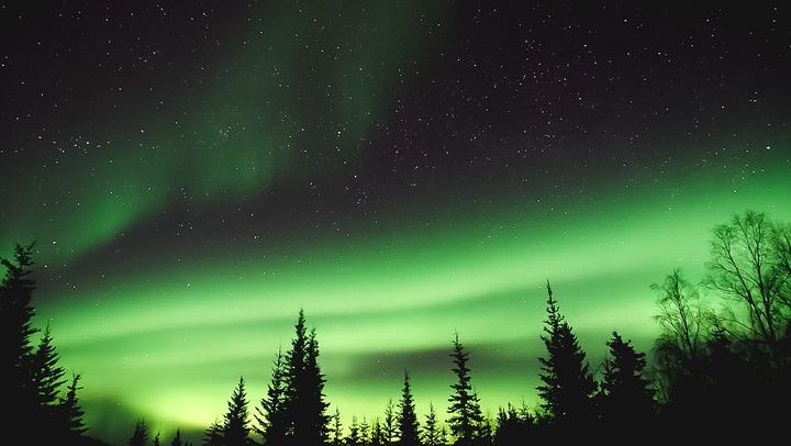 Aurora Viewing Lodge Tour near Fairbanks with a Local Guide