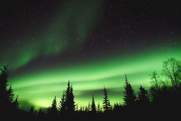 Aurora Viewing Lodge Tour near Fairbanks with a Local Guide