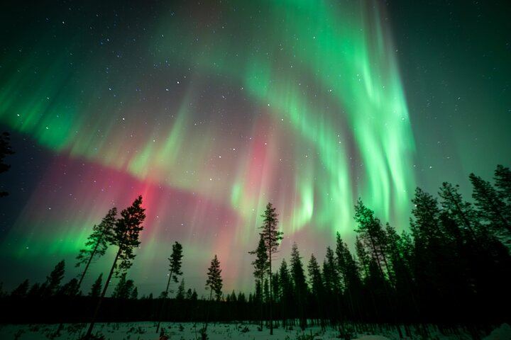 Fototour zur Beobachtung des Nordlichts ab Rovaniemi mit einem lappischen Grillbuffet (7/11)