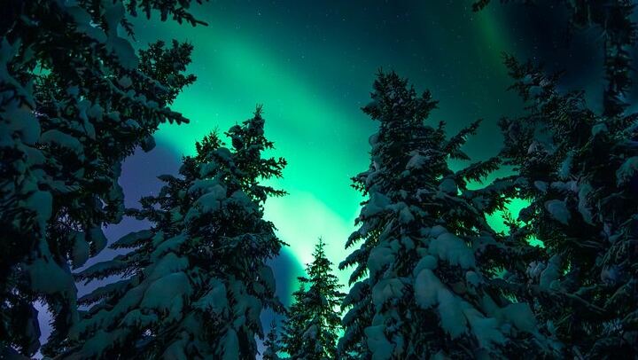 Chasse aux aurores en minibus à Tromsø, en italien, avec un photographe, maximum 8 personnes (3/7)