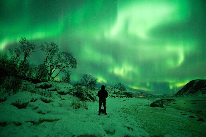 Chasse aux aurores en minibus à Tromsø, en italien, avec un photographe, maximum 8 personnes (5/7)