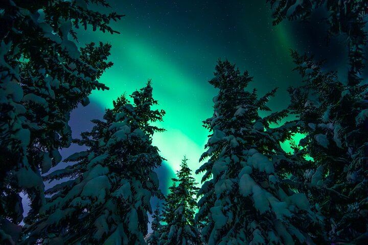 Chasse aux aurores en minibus à Tromsø, en italien, avec un photographe, maximum 8 personnes (3/7)