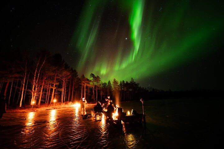 Northern Lights Hunting Expedition in Ranua, Lapland, Max 8 People (3/5)