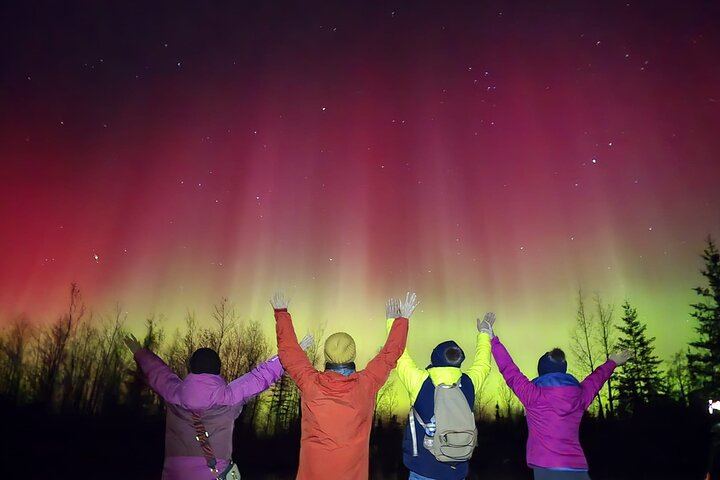 Intimate Aurora Cabin Night with Bannock and Fish Chowder (12/12)