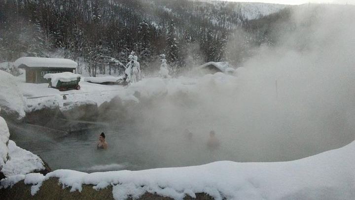 Chena Hot Springs Aurora Tour from Fairbanks with Ice Museum (1/5)