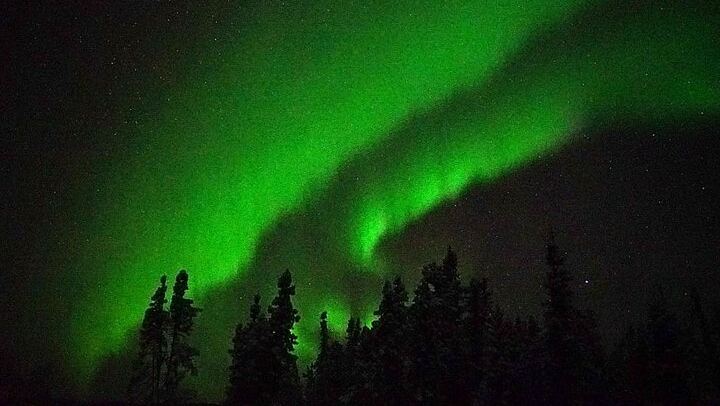 Chena Hot Springs Aurora Tour from Fairbanks with Ice Museum (4/5)