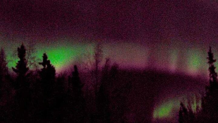 Chena Hot Springs Aurora Tour from Fairbanks with Ice Museum (3/5)