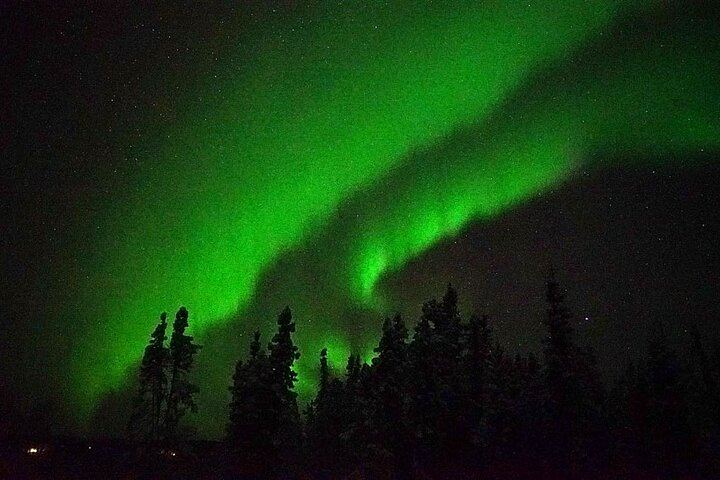 Chena Hot Springs Aurora Tour from Fairbanks with Ice Museum (4/5)