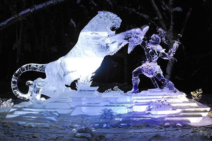 Chena Hot Springs Aurora Tour from Fairbanks with Ice Museum (5/5)