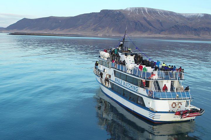 Iceland Super Saver: Northern Lights Cruise plus Whale Watching in Reykjavík (10/12)