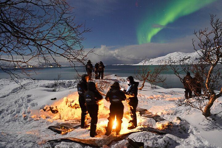 All Inclusive Northern Lights Hunt from Tromso, Max 15 Guests (8/12)