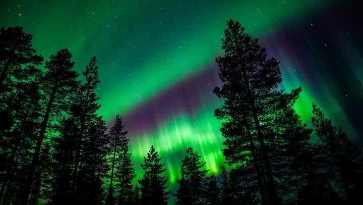 Family Friendly Northern Lights Evening from Rovaniemi, 3 Hours (4/11)