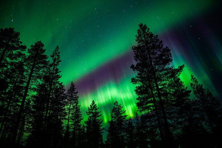 Family Friendly Northern Lights Evening from Rovaniemi, 3 Hours (4/11)