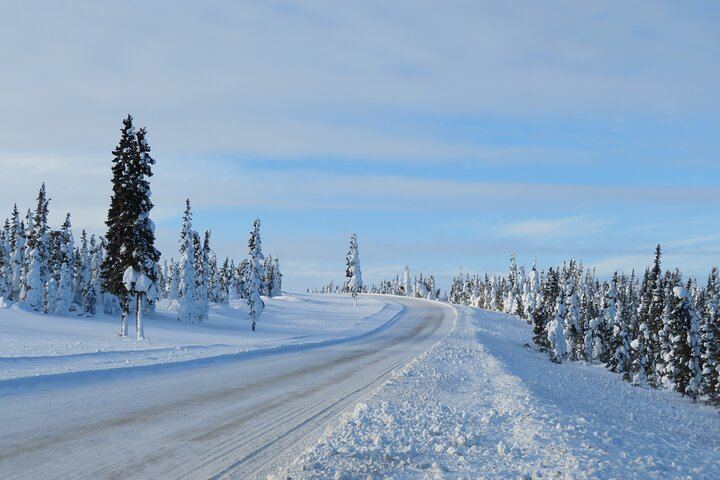 Arctic Circle Aurora Drive from Fairbanks on the Dalton Highway (11/12)