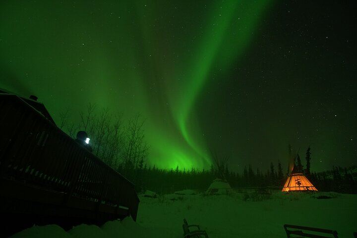 Arctic Day: Late Night Aurora Viewing Tour from Whitehorse (4/12)