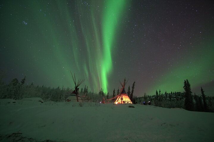 Arctic Day: Late Night Aurora Viewing Tour from Whitehorse (12/12)