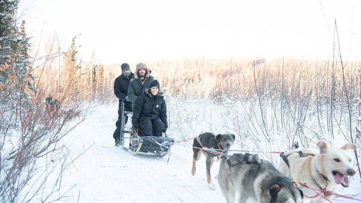 Dog Sled and Reindeer Day Trip to Borealis Basecamp