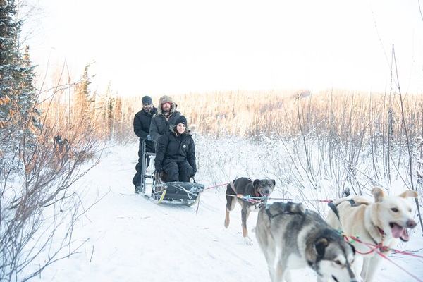 Dog Sled and Reindeer Day Trip to Borealis Basecamp