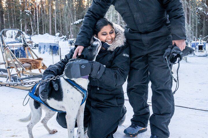 Dog Sled and Reindeer Day Trip to Borealis Basecamp (7/12)