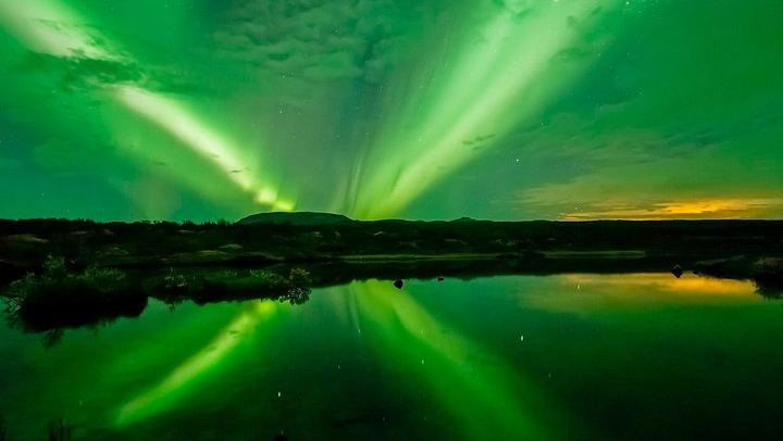Beobachte Wale bei Tag und das Nordlicht vom Meer aus, ausgehend von Reykjavík (3/8)