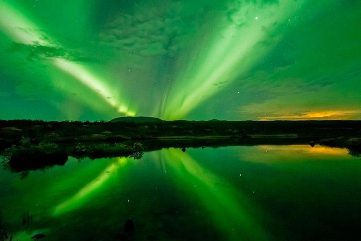 Beobachte Wale bei Tag und das Nordlicht vom Meer aus, ausgehend von Reykjavík (3/8)
