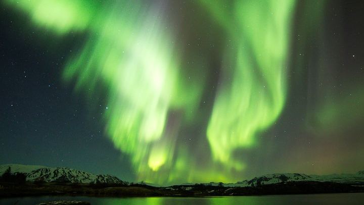 Beobachte Wale bei Tag und das Nordlicht vom Meer aus, ausgehend von Reykjavík (1/8)