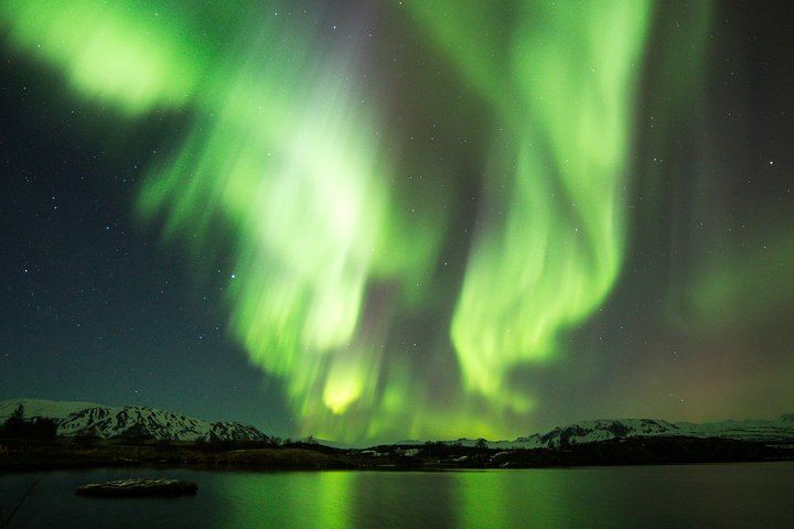 Beobachte Wale bei Tag und das Nordlicht vom Meer aus, ausgehend von Reykjavík (1/8)