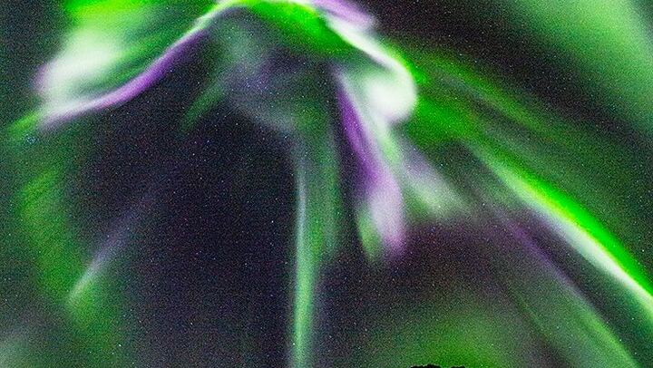 Marianne's Heaven On Earth Aurora Chaser Tours from Tromso (2/12)