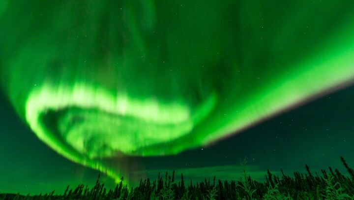 Fairbanks Northern Lights Tour with Portraits and Photo Instruction (4/8)