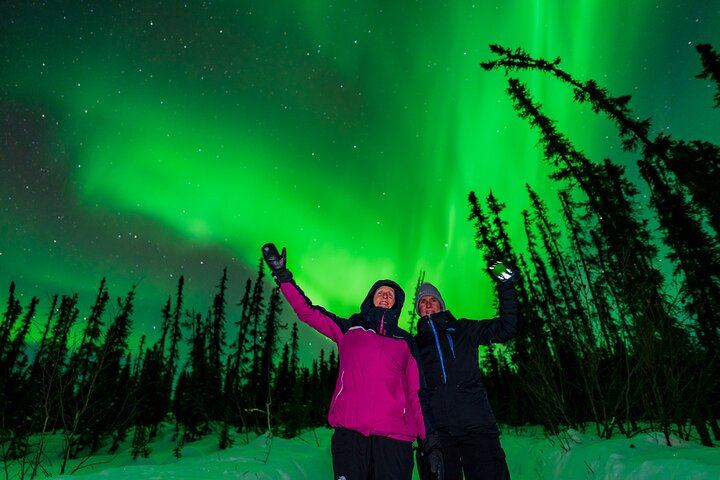 Fairbanks Northern Lights Tour with Portraits and Photo Instruction (1/8)