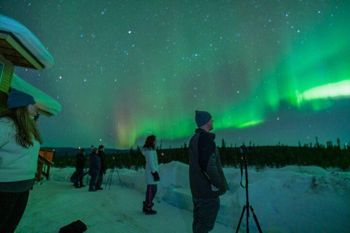 Fairbanks Northern Lights Tour with Portraits and Photo Instruction (3/8)