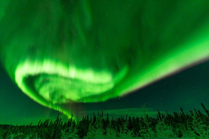 Fairbanks Northern Lights Tour with Portraits and Photo Instruction (4/8)