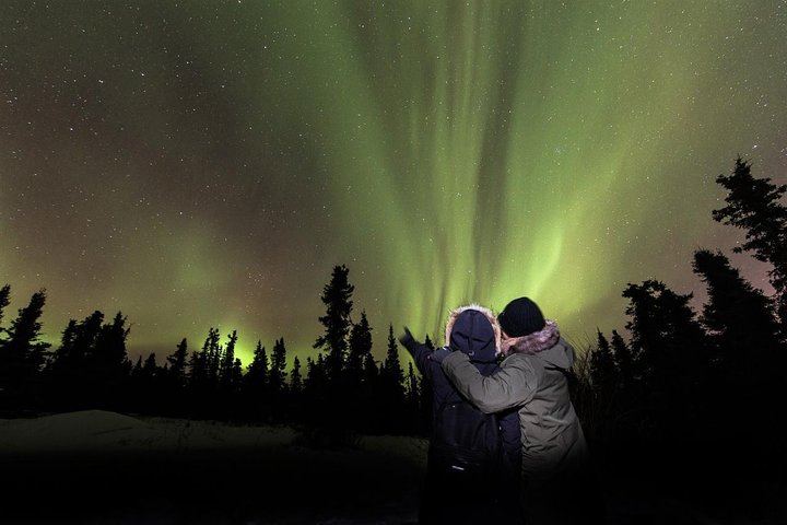 Fairbanks Northern Lights Tour with Portraits and Photo Instruction (5/8)