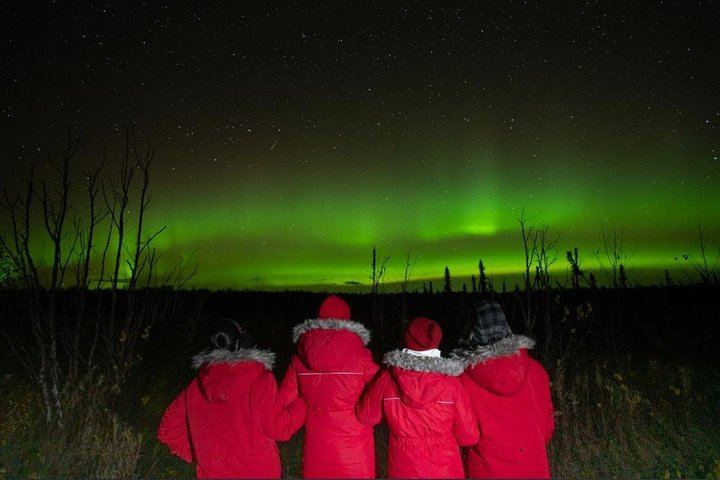 Fairbanks Northern Lights Tour with Portraits and Photo Instruction (6/8)