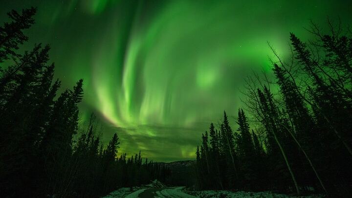 Autumn Aurora and Dog Mushing Cart Ride near Fairbanks