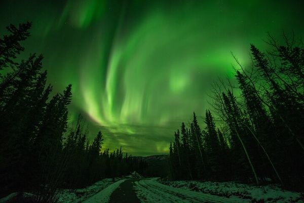 Autumn Aurora and Dog Mushing Cart Ride near Fairbanks