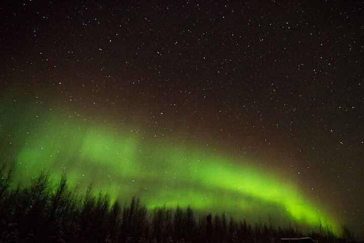 Autumn Aurora and Dog Mushing Cart Ride near Fairbanks (7/9)