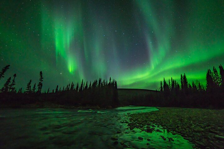 Autumn Aurora and Dog Mushing Cart Ride near Fairbanks (9/9)