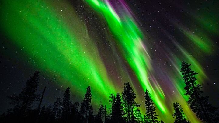 Family Friendly Northern Lights Evening from Rovaniemi, 3 Hours